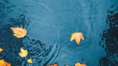 A Lesson in Humility (Part 1 of 2)