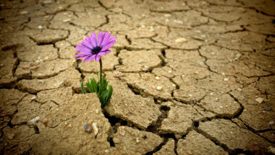 Grace and Favor (Part 1 of 2)