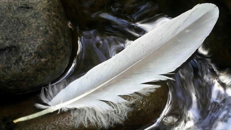 Moral and Spiritual Balances 