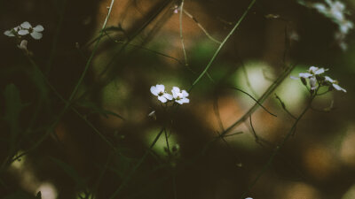 True Power in the One Spirit