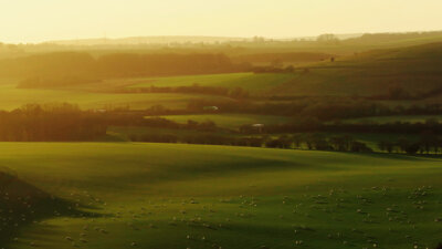 Our Desire for Christ’s Fellowship