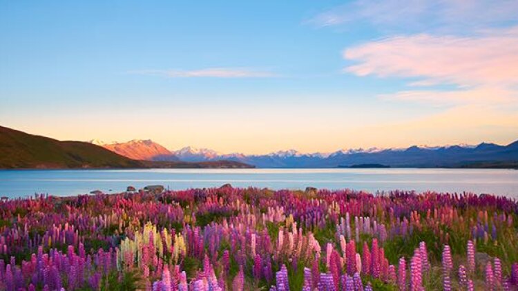 The Redeemer’s Never-Ceasing Intercession