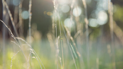 God Is Everywhere (Part 1 of 2)