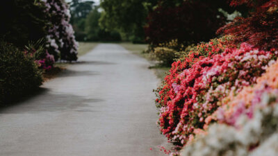 Walk in Love (Part 2 of 2)