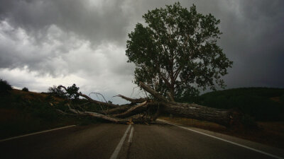 “Why Do You Call Me Good?”