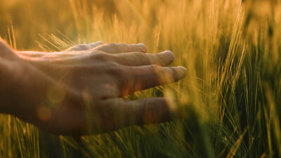 Jesus, Lord of the Sabbath (Part 1 of 2)