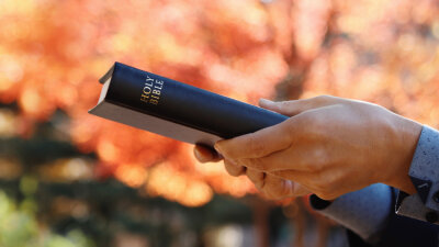 “I Am Not Ashamed of the Gospel”