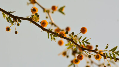 The Power and Mystery of Obedience