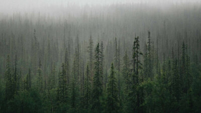 Spiritual Warfare (Part 1 of 2)