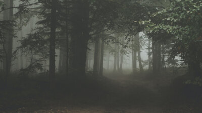 What’s Going On? (Part 2 of 2)