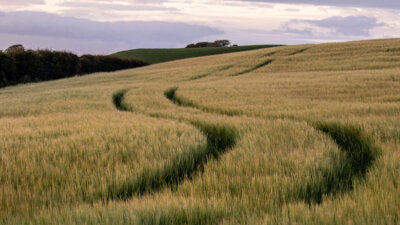 Providence Defined (Part 1 of 2)