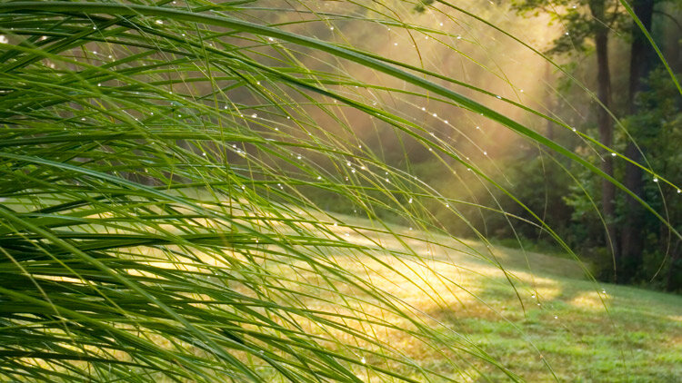 In the Cool of the Day