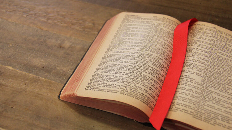 Read the Promise Again