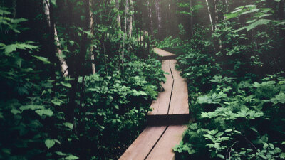 Providence (Part 2 of 2)