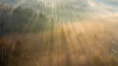 One Body, One Spirit, One Hope (Part 2 of 2)