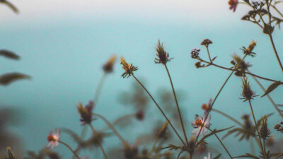 Stability, Maturity, and Charity (Part 2 of 2)