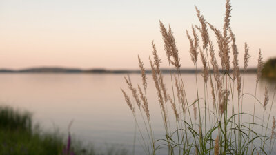 The Sound of Silence