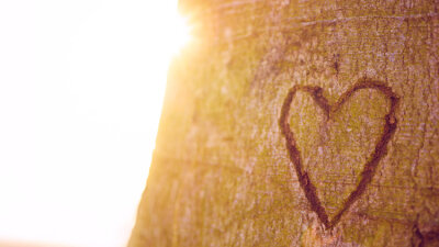 First, Love: The Original Plan