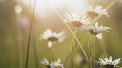 Stability, Maturity, and Charity (Part 1 of 2)