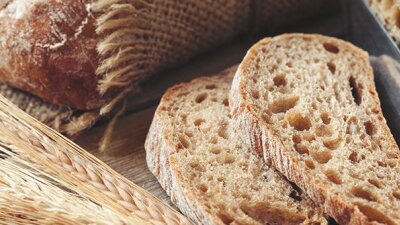 Great Thoughts of Christ