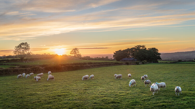 Fellowship with Jesus