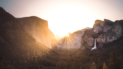 Lessons From the Fig Tree (Part 3 of 4)