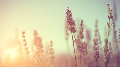 My Times Are in Your Hands (Part 3 of 4)