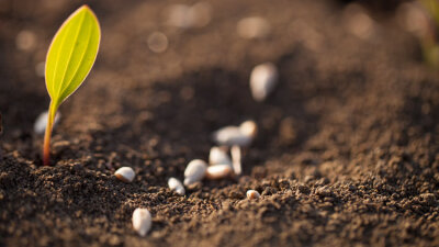 Used of God (Part 1 of 2)