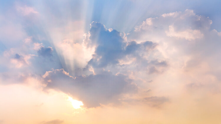 For Them, In Them, By Them