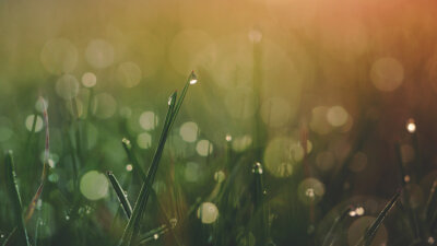 Speak, Lord! (Part 1 of 2)