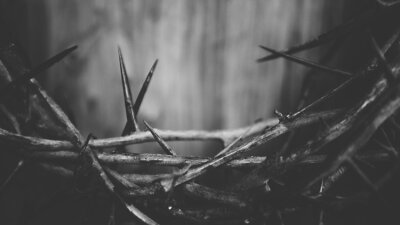 They Crucified Him (Part 1 of 2)