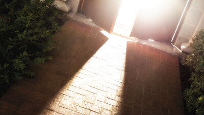 Who’s in Charge of the Church? (Part 2 of 2)