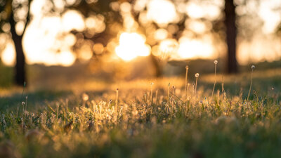 Holy Day or Holiday? (Part 3 of 4)