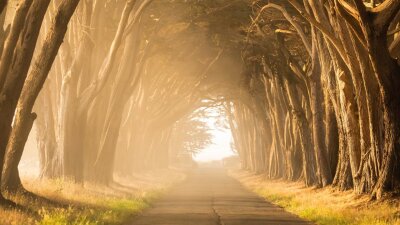 Who Takes First Place? (Part 1 of 2)