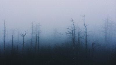 A Taste of Honey (Part 1 of 2)