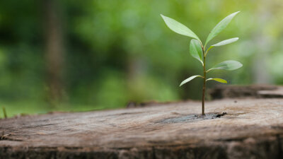 The Gospel Transforms Lives — Part One