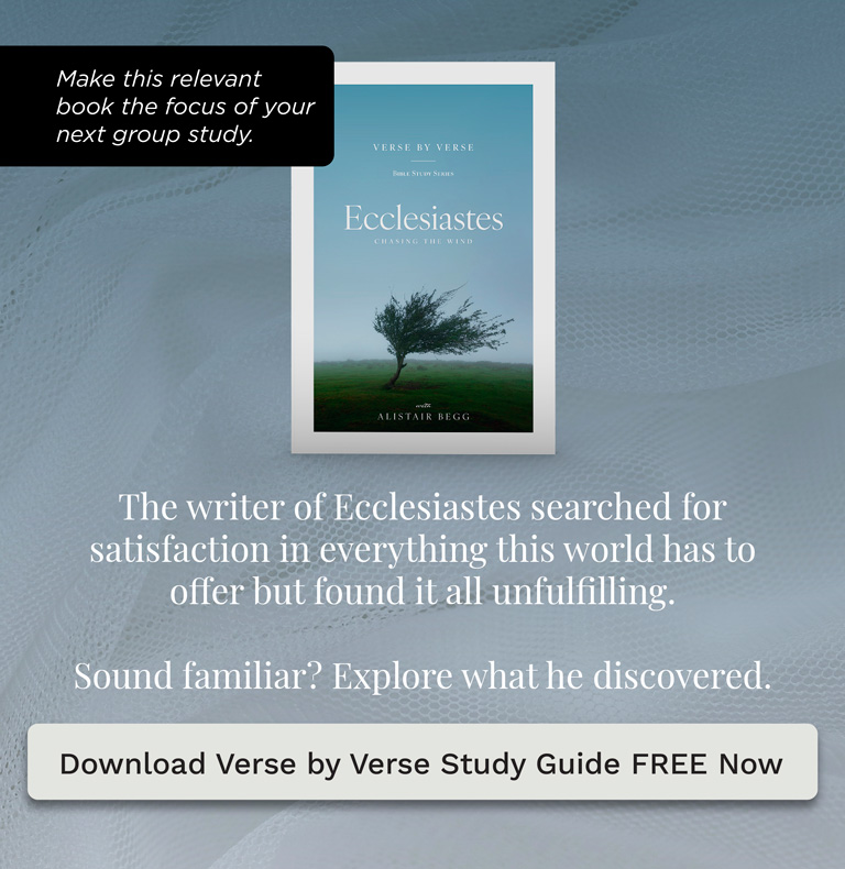 Ecclesiastes: Chasing the Wind (Download the free verse by verse study guide now!)