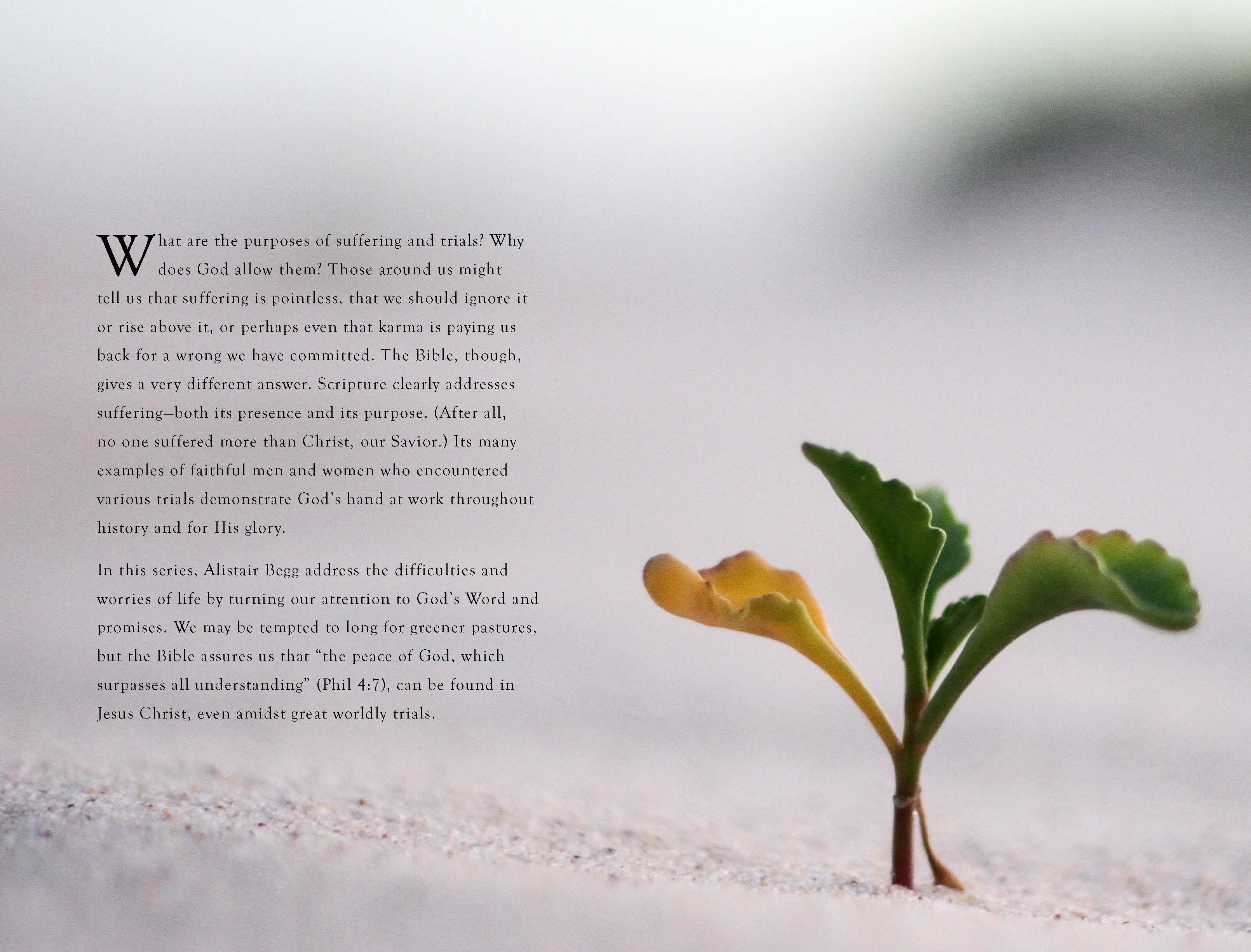 ‘Dangers, Toils, and Snares’ Study Guide Store Truth For Life