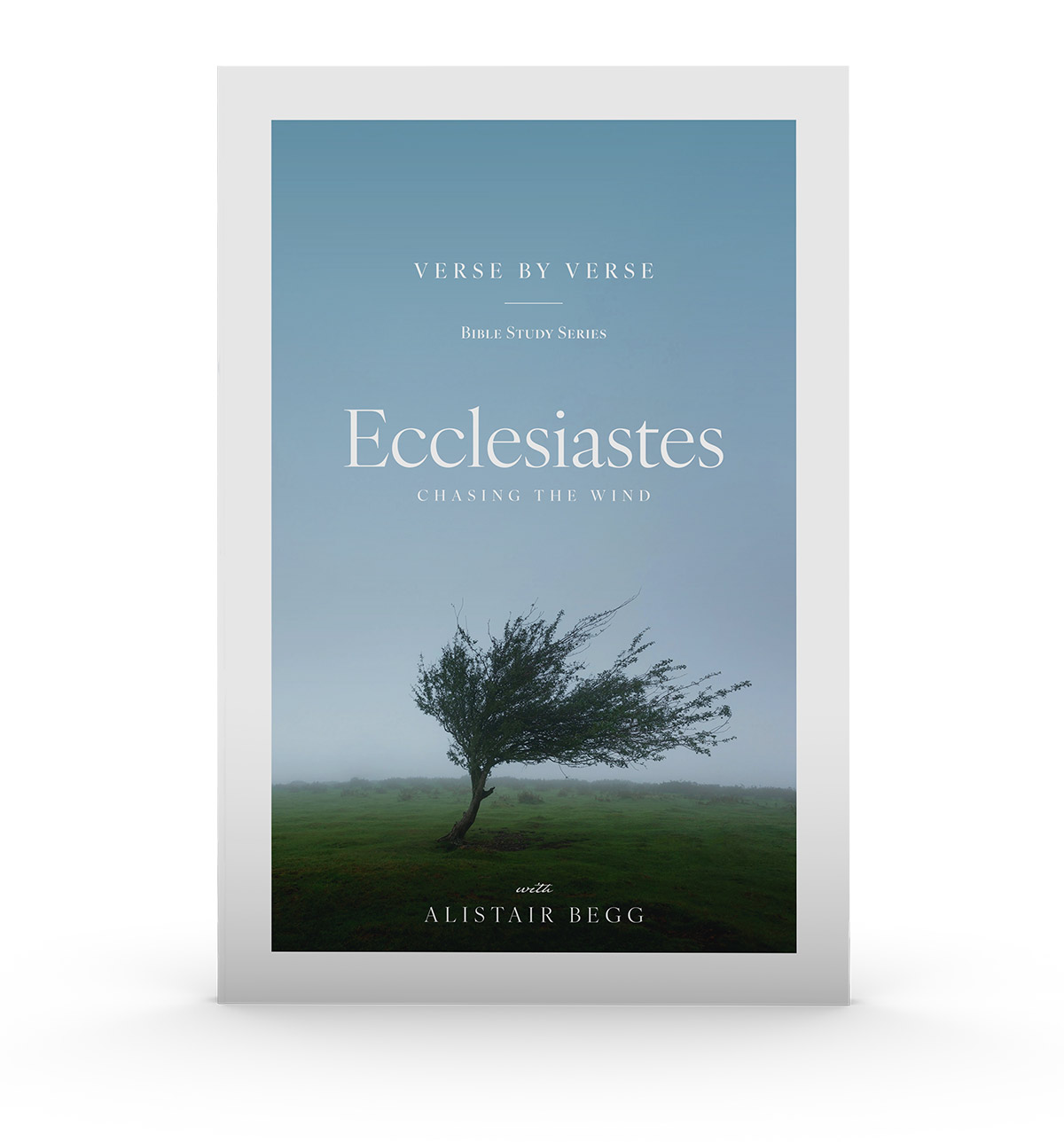 Ecclesiastes: Chasing the Wind