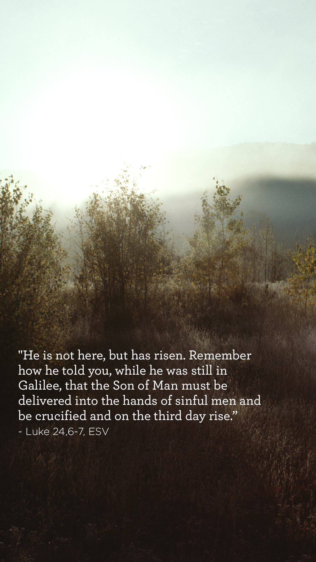 He Has Risen : Wallpaper - Truth For Life