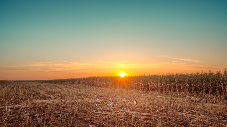 Truth for Life Devotional with Alistair Begg 2 August 2020