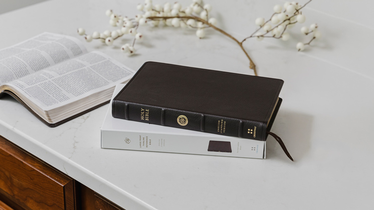 ESV Large-Print Bible