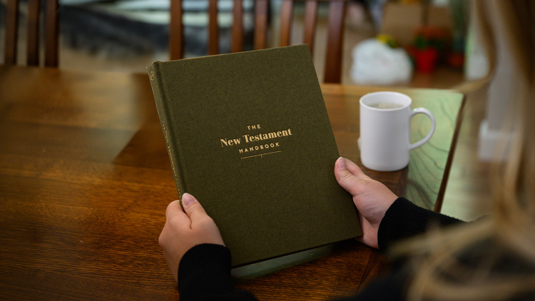 The New Testament Handbook