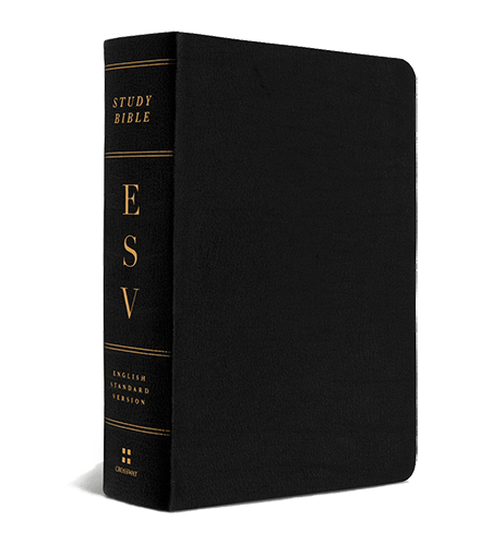 ESV Study Bible 