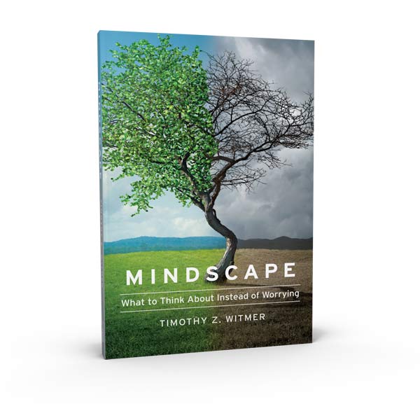 Mindscape