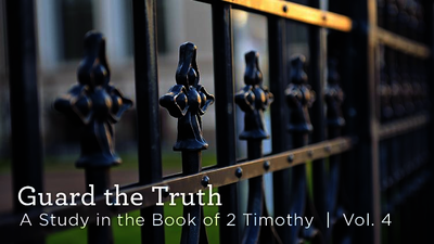 Guard the Truth, Volume 4